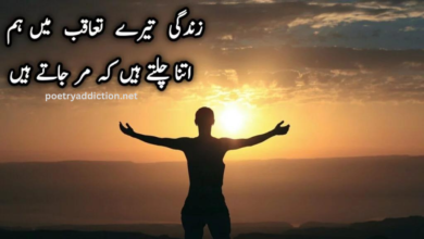 deep poetry in urdu text