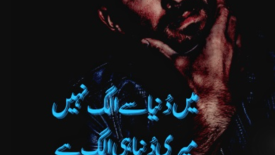 attitude poetry in Urdu