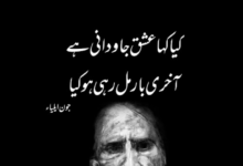 john elia best poetry