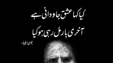 john elia best poetry