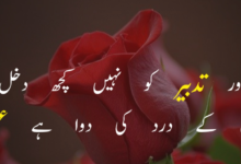 Love Poetry In Urdu Text