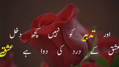 Love Poetry In Urdu Text