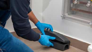 Understanding the Growing Need for Pest Control in Homes and Businesses