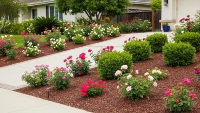 Mulch Carlsbad
