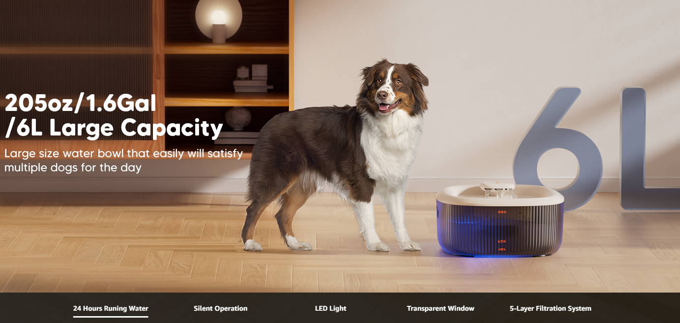 wopet pet water fountain with large capacity