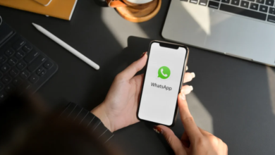  How WhatsApp Web Version Login and Telegram Chinese Are Reshaping Online Education in China