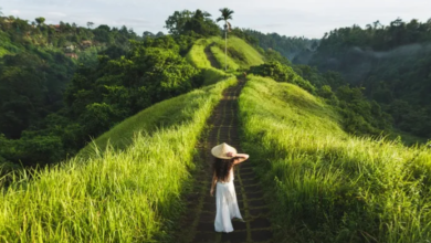 Redefining Luxury and Wellness in Modern Travel