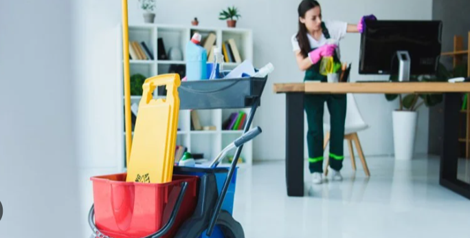 Professional Cleanliness