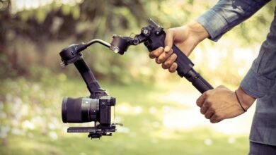 stability in professional framework