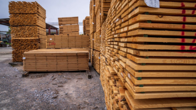 India Plywood Market: Building a Stronger Future Through Wood-Based Innovation