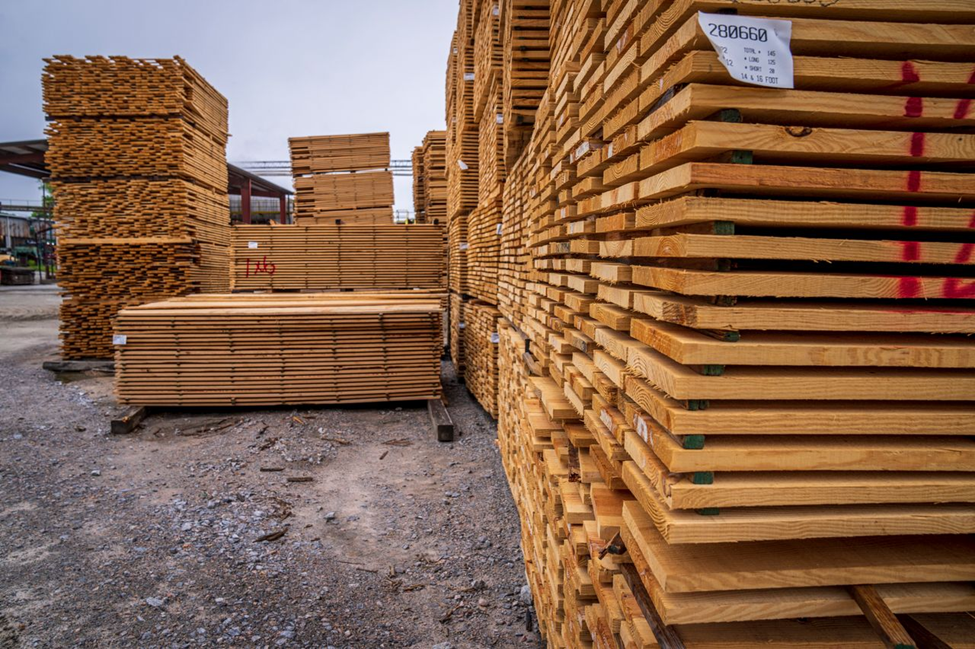 India Plywood Market: Building a Stronger Future Through Wood-Based Innovation